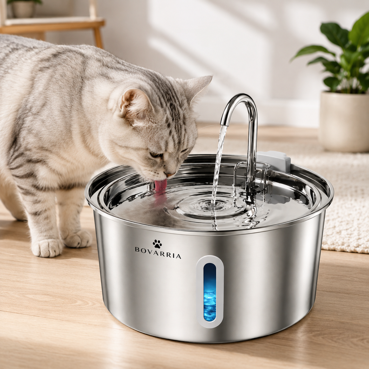 Bovarria Pet Water Fountain