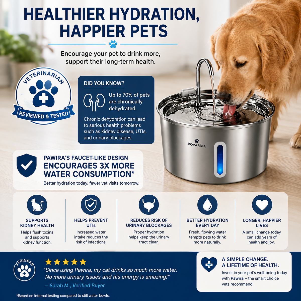 Bovarria Pet Water Fountain